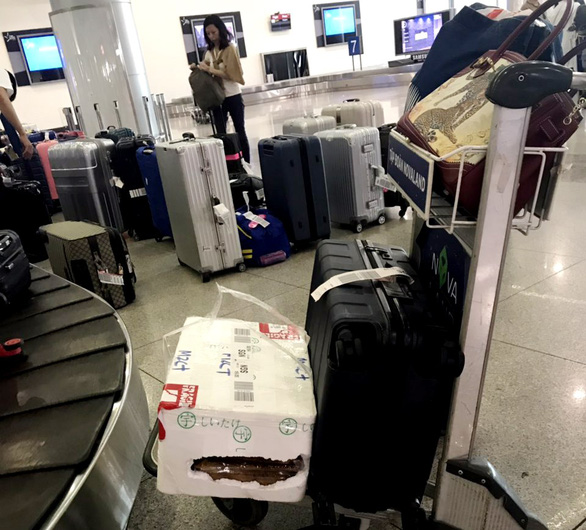 Trộm hành lý khá quen thuộc tại sân bay